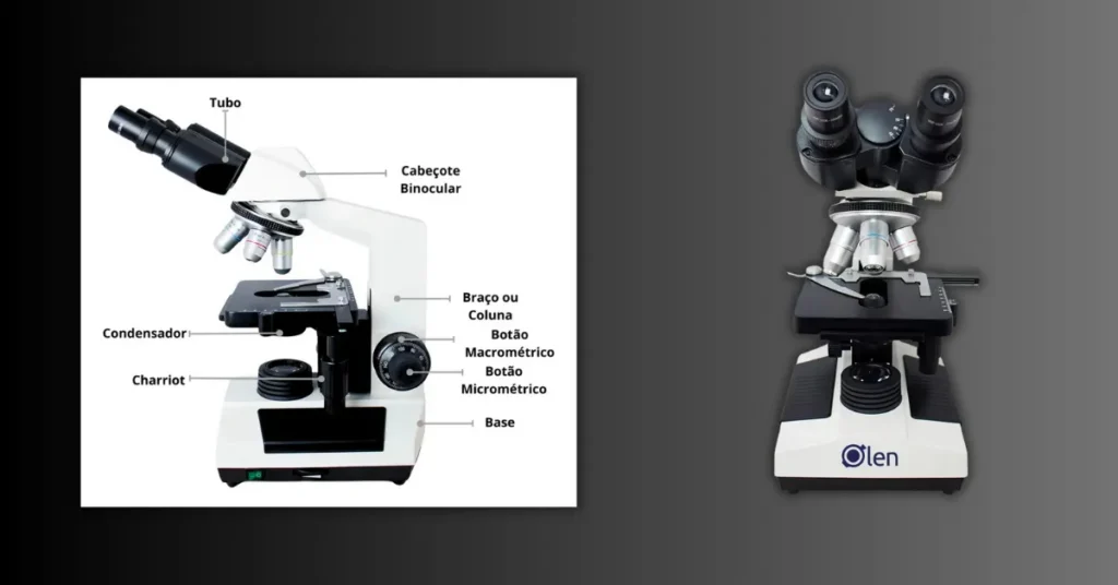 Microscópio binocular