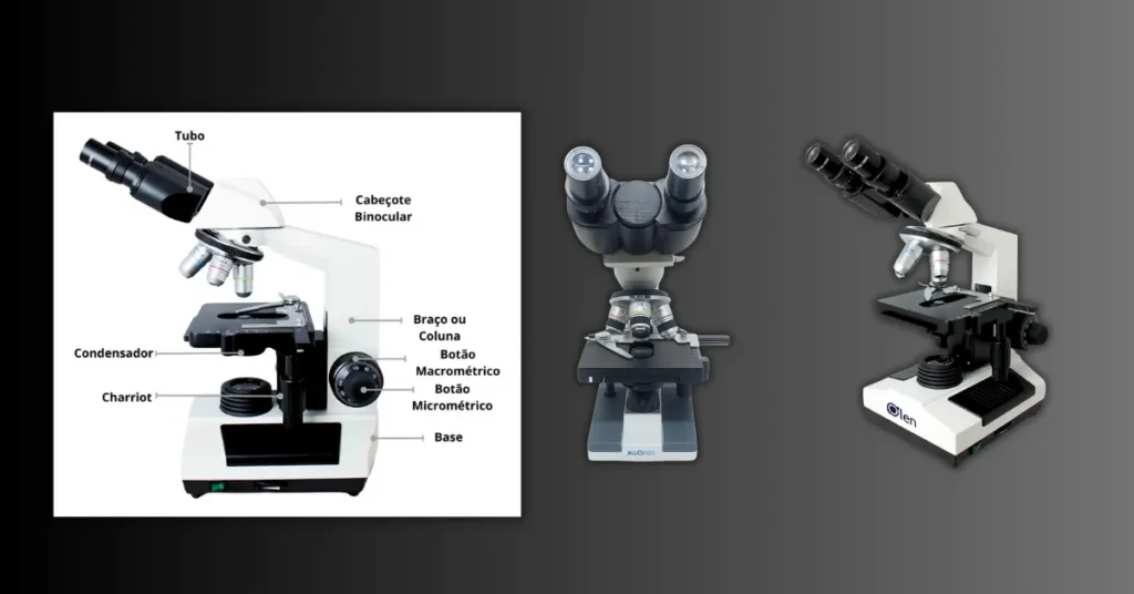 Microscópio binocular