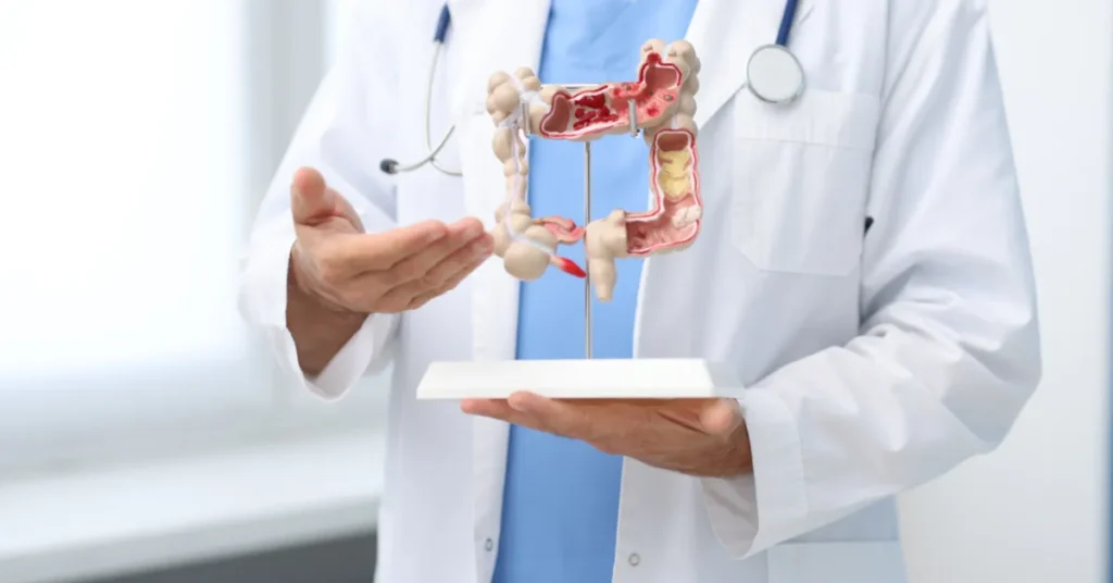 Função do intestino grosso