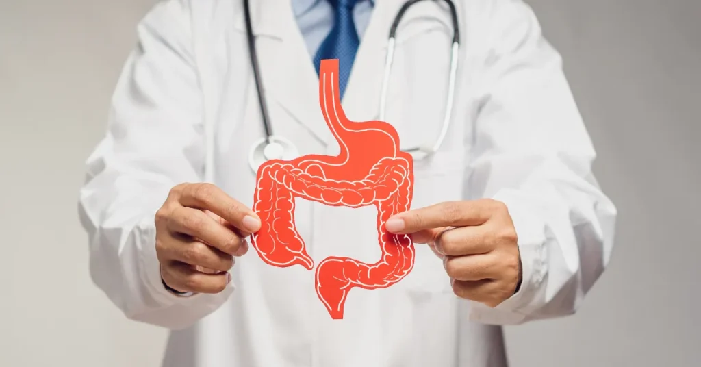 Função do intestino grosso