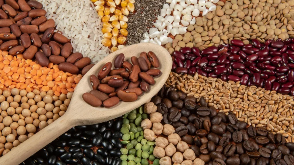 Alimentos construtores