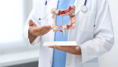 Função do intestino grosso